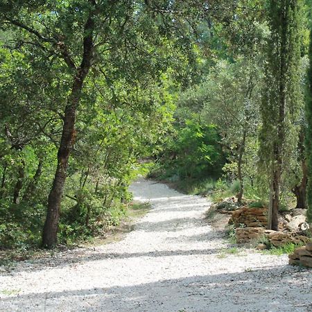 Lou Paradou Lodge Grillon Zewnętrze zdjęcie