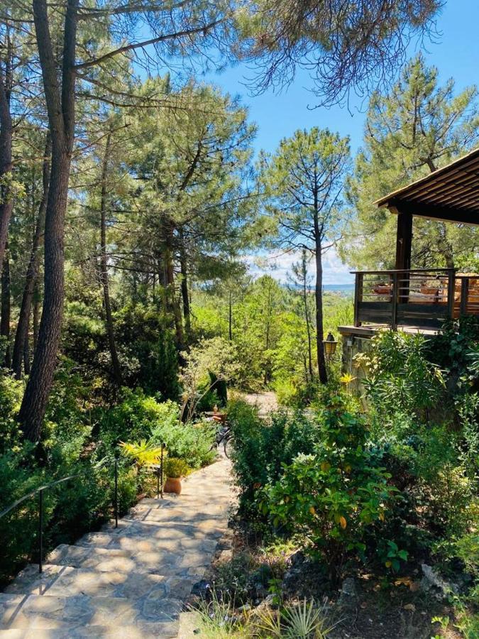 Lou Paradou Lodge Grillon Zewnętrze zdjęcie