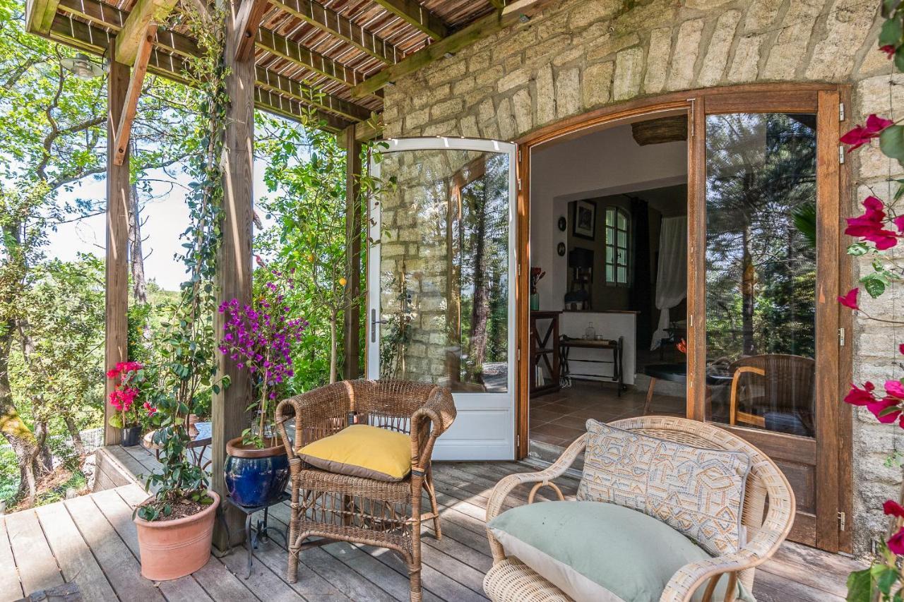 Lou Paradou Lodge Grillon Zewnętrze zdjęcie